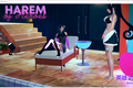 A2097 - 英雄后宫 Harem of Heroes v1.3.5.20250514-PC+安卓 免安装AI中文汉化版[4.21GB]