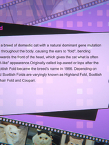 A0937 - 猫姑娘喵喵岛3 Miss Neko 3 Build.10093506+DLC 免安装STEAM中文版[819MB]