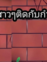 A1306 - 墙上的另一个女孩 Another girl in the wall [PC+安卓] 中文汉化版[180MB]